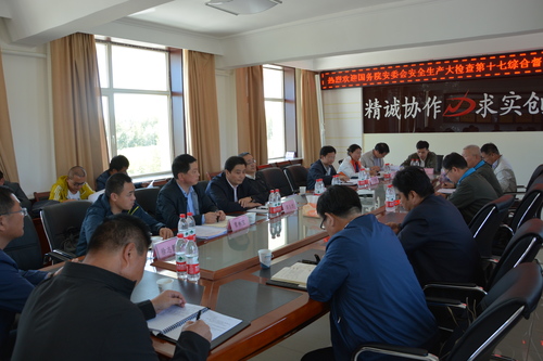 李鋒：國務院安全督查組到海西東諾公司督查1.jpg