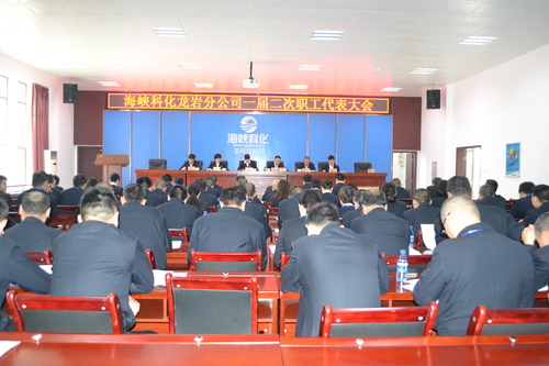 蘇艷麗：龍巖分公司召開一屆二次職工代表大會(huì).jpg
