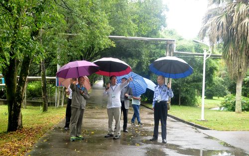 陳宏金：泉州 市公安局黨委書(shū)記到永春分分公司檢查指導(dǎo)工作.jpg