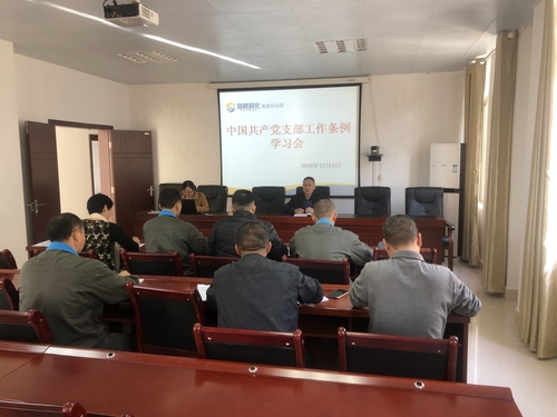 謝顏果：龍巖分公司組織開展《中國共產(chǎn)黨支部工作條例》學(xué)習(xí)會.jpg