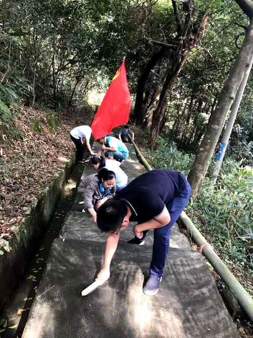 陳宏金：不忘初心 牢記使命，永春分公司組織機(jī)關(guān)黨員清理上下班臺(tái)階的青苔1.jpg
