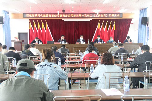 福安分公司胡廷淦：圖為海峽科化福安分公司職工代表大會~1.jpg