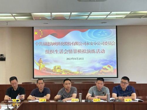 格式工廠永安分公司鮑玉婷：海峽科化永安分公司黨委“實戰(zhàn)演練”推動組織生活會嚴起來、活起來、實起來 (2).jpg